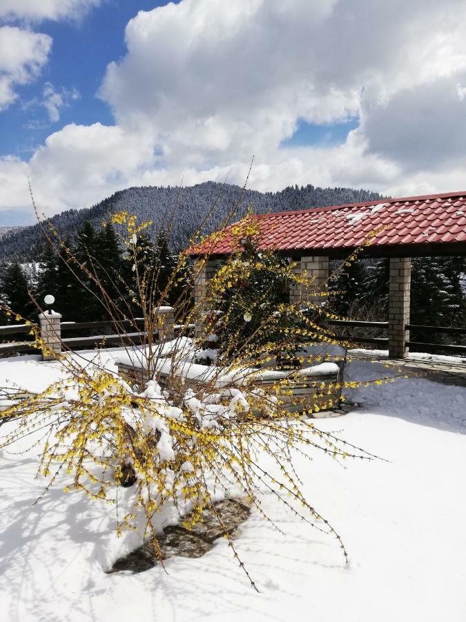 Ξενοδοχείο Μαγκιωση Нерайдохоры Екстер'єр фото